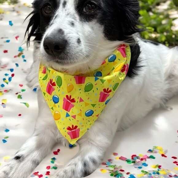 ONE Pawty Time Dog Birthday Bandana - Picture 7 of 7